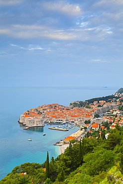 Elevated view over Stari Grad (Old Town), UNESCO World Heritage Site, Dubrovnik, Dalmatia, Croatia, Europe