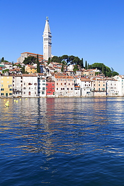 Old town and the cathedral of St. Euphemia, Rovinj, Istria, Croatia, Adriatic, Europe 