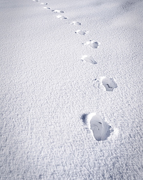 Foot steps in the snow, Kandel Mountain, Black Forest, Baden Wurttemberg, Germany, Europe