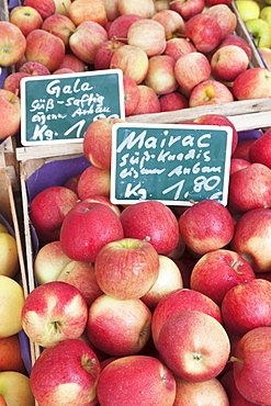 Apples at a market stall, weekly market, market place, Esslingen, Baden Wurttemberg, Germany, Europe