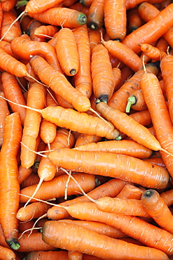 Carrots at a market stall, weekly market, market place, Esslingen, Baden Wurttemberg, Germany, Europecurves adjustments for more contrast and subtle vignette