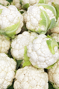 Cauliflower at a market stall, weekly market, market place, Esslingen, Baden Wurttemberg, Germany, Europecurves adjustment