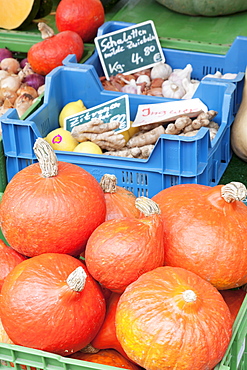 Pumpkins, onions, ginger, potatoes, garlic and lemons at a market stall, weekly market, market place, Esslingen, Baden Wurttemberg, Germany, Europe