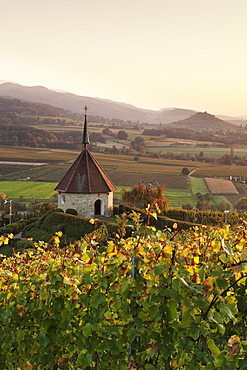 Olbergkapelle Chapel, Ehrenstetten, Staufen im Breisgau, Markgrafler Land, Black Forest, Baden Wurttemberg, Germany, Europe