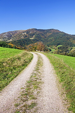 Path leading to Belchen Mountain, Black Forest, Baden Wurttemberg, Germany, Europe