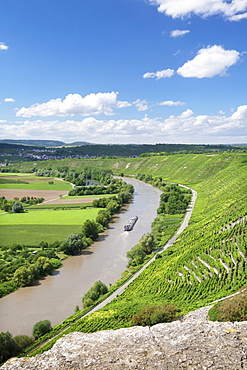 Hessigheim Felsengarten (Rock Gardens), Neckartal Valley, River Neckar, Baden Wurttemberg, Germany, Europe