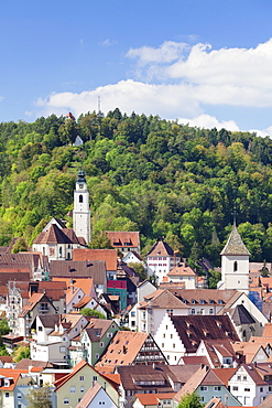 Old town with Stiftskirche Heilig Kreuz collegiate church, Horb am Neckar, Black Forest, Baden Wurttemberg, Germany, Europe