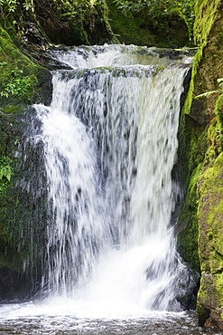 Geroldsau Waterfalll, Geroldsau part of the city of Baden Baden, Black Forest, Baden Wurttemberg, Germany, Europe