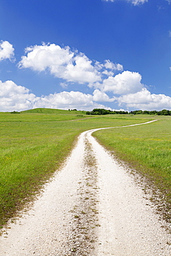 Path through a meadow with cumulus clouds, Swabian Alb, Baden Wurttemberg, Germany, Europe