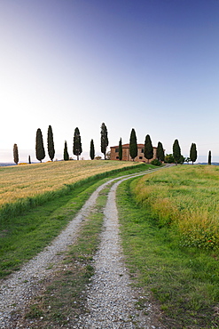 Farm house with cypress trees, near Pienza, Val d'Orcia (Orcia Valley), UNESCO World Heritage Site, Siena Province, Tuscany, Italy, Europe