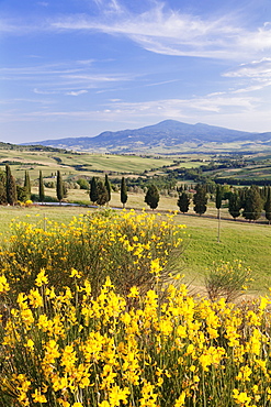 Tuscan landscape  with Monte Amiata, near Pienza, Val d'Orcia (Orcia Valley), UNESCO World Heritage Site, Siena Province, Tuscany, Italy, Europe