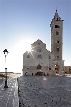 San Nicola Pellegrino cathedral, Piazza del Duomo, Trani, Le Murge, Barletta-Andria-Trani district, Puglia, Italy, Europe