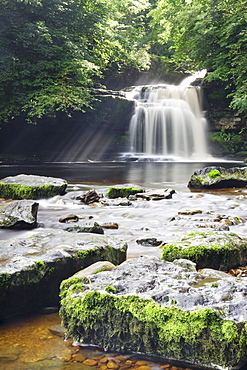 Westburton Waterfall, Westburton, Yorkshire Dales, Yorkshire, England, United Kingdom, Europe