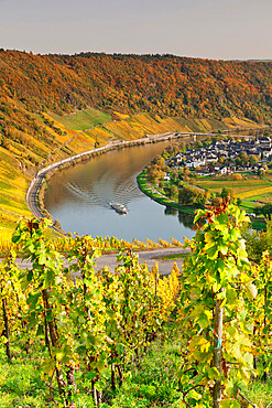 Loop of Moselle River near the town of Kroev, Rhineland-Palatinate, Germany, Europe