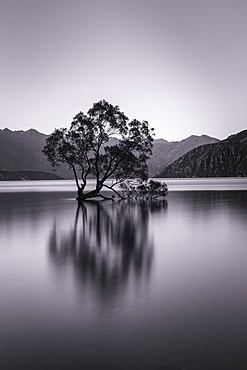 Lake Wanaka, Blue Hour, Mount-Aspiring National Park, UNESCO World Heritage Site, Otago, South Island, New Zealand, Pacific