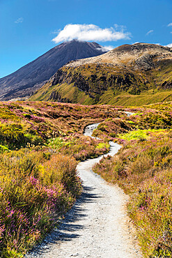 Mount Ngauruhoe, Tongariro Alpine Crossing, Tongariro National Park, UNESCO World Heritage Site, North Island, New Zealand, Pacific