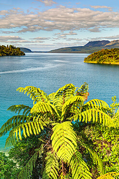 Lake Tarawera, Rotorua, North Island, New Zealand, Pacific