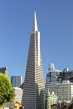 Transamerica Pyramid, Financial District, San Francisco, California, United States of America, North America