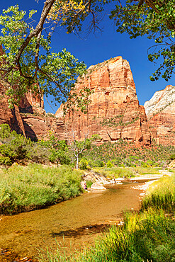 Virgin River und Angel's Landing, Zion National Park, Colorado Plateau, Utah, United States of America, North America