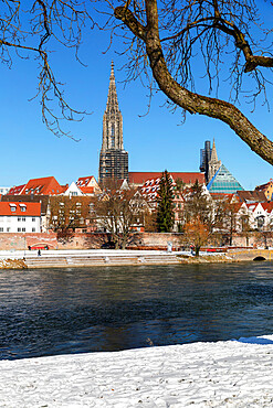 View over Danube River to Ulm Cathedral, Ulm, Swabian Alps, Baden-Wurttemberg, Germany, Europe