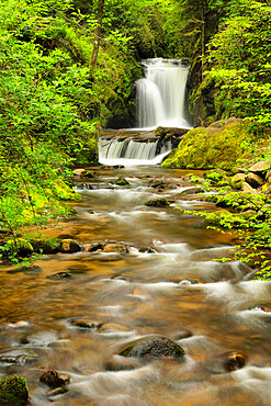 Geroldsau Waterfall, Baden Baden, Black Forest, Baden-Wurttemberg, Germany, Europe