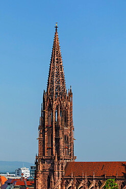 Freiburg Cathedral, Freiburg im Breisgau, Black Forest, Baden-Wurttemberg, Germany, Europe