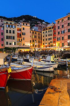 The old port, Camogli, Rivera di Levante, Genova District, Liguria, Italy