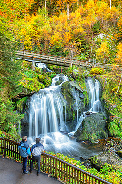 Triberg Waterfalls, Black Forest, Baden-Wurttemberg, Germany, Europe