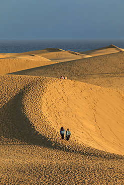 Maspalomas Sand Dunes, Gran Canaria, Canary Islands, Spain, Atlantic, Europe