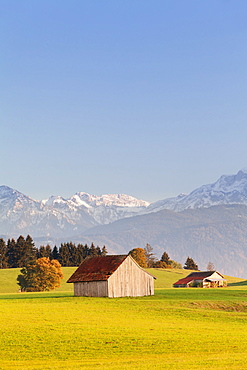 Cottage in Prealps landscape, Fussen, Ostallgau, Allgau, Allgau Alps, Bavaria, Germany, Europe