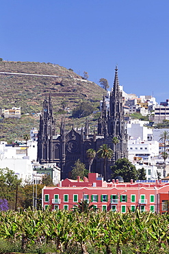 Cathedral Iglesia de San Juan de Bautista, Arucas, Gran Canaria, Canary Islands, Spain, Europe