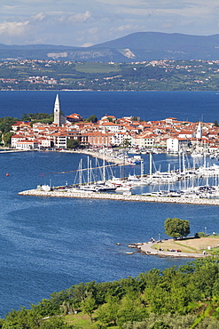 High angle view of the old town and the harbour of Izola, Primorska, Istria, Slovenia, Europe