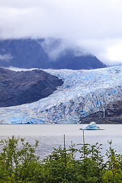 Mendenhall Glacier and Lake, with iceberg, bright blue ice, forest and mist, from Visitor Centre, Juneau, Alaska, United States of America, North America