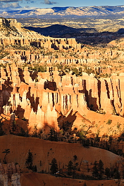 Late afternoon sun lights lines of hoodoos at Sunset Point, Bryce Canyon National Park, Utah, United States of America, North America