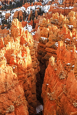 Hoodoos with snow lit by late afternoon sun, from Rim Trail near Sunset Point, Bryce Canyon National Park, Utah, United States of America, North America