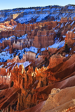 Hoodoos and snowy rim cliffs lit by strong late afternoon sun in winter, near Sunrise Point, Bryce Canyon National Park, Utah, United States of America, North America