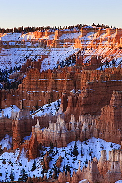 Hoodoos, rim and snow lit by dawn light in winter, Queen's Garden Trail at Sunrise Point, Bryce Canyon National Park, Utah, United States of America, North America