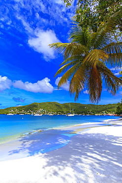 Quiet Caribbean, sea shore palm trees, beautiful Port Elizabeth, Admiralty Bay, Bequia, The Grenadines, St. Vincent and the Grenadines, Windward Islands, West Indies, Caribbean, Central America