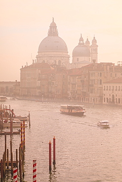 Beautiful Grand Canal, winter fog, morning golden light, Santa Maria della Salute, Venice, UNESCO World Heritage Site, Veneto, Italy, Europe