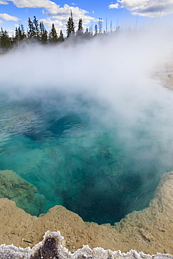 Steam and turquoise depths at Black Pool, dawn, West Thumb Geyser Basin, Yellowstone National Park, UNESCO World Heritage Site, Wyoming, United States of America, North America