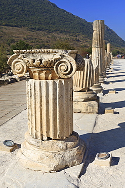 Ionic column, ancient Ephesus, near Kusadasi, Anatolia, Turkey, Asia Minor, Eurasia