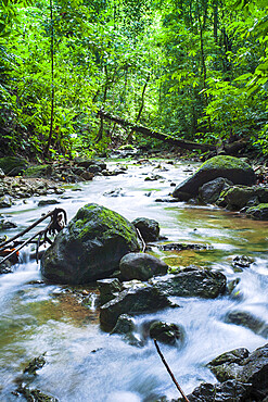 Rainforest stream in Corcovado National Park, Osa Peninsula, Costa Rica, Central America