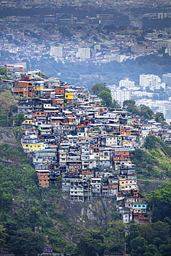 Elevated view of a favela slum on the edge of Tijuca forest, Rio de Janeiro, Brazil, South America