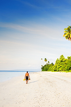 A local man carrying raw coconuts along a pristine beach, Manawoka Island, Maluku, Spice Islands, Indonesia, Southeast Asia, Asia