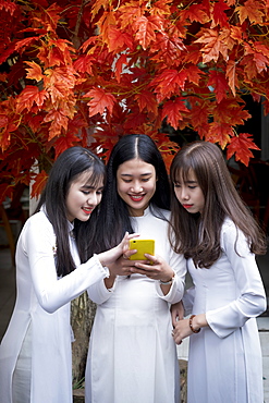 Three Vietnamese female friends wearing traditional Ao Dai dresses and sharing a mobile phone, Hue, Vietnam, Indochina, Southeast Asia, Asia