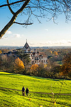 View across Terrace Field and Petersham Meadows to the River Thames, with woodland, and public footpath in autumn, Richmond Hill, London, England, United Kingdom, Europe