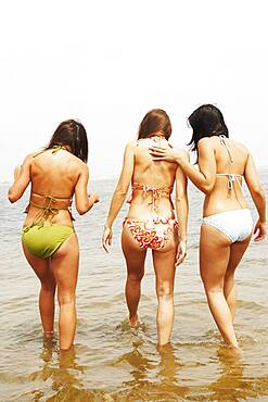 Rear view of three women at beach