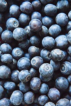 Close up of pile of blueberries