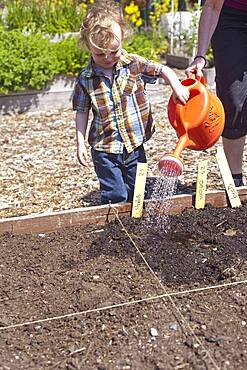 Caucasian mother and son watering plants in garden