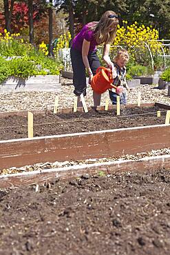 Caucasian mother and son watering plants in garden